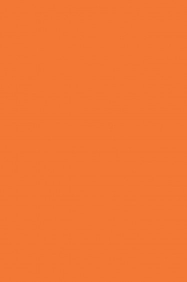 Magi Wap Acrylic Color: Vermillion 300ml