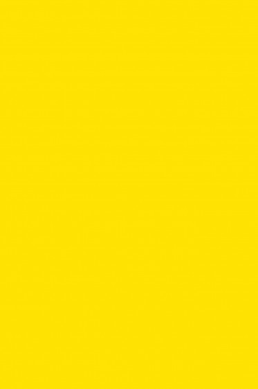 Magi Wap Acrylic Color: Yellow Medium 60ml