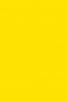 Magi Wap Acrylic Color: Yellow Medium 60ml
