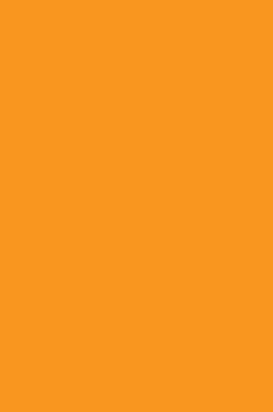 Liquitex Basics Acrylic Studio: Cadmium Orange Hue 118ml