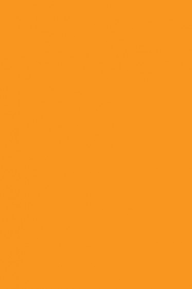 Liquitex Basics Acrylic Studio: Cadmium Orange Hue 118ml