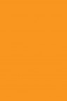 Liquitex Basics Acrylic Studio: Cadmium Orange Hue 118ml