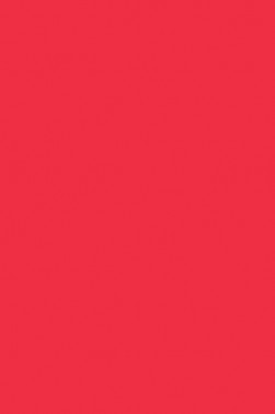Liquitex Basics Acrylic Studio: Cadmium Red Medium Hue 118ml