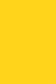 Liquitex Basics Acrylic Studio: Cadmium Yellow Medium Hue 118ml