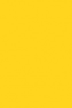 Liquitex Basics Acrylic Studio: Cadmium Yellow Medium Hue 118ml