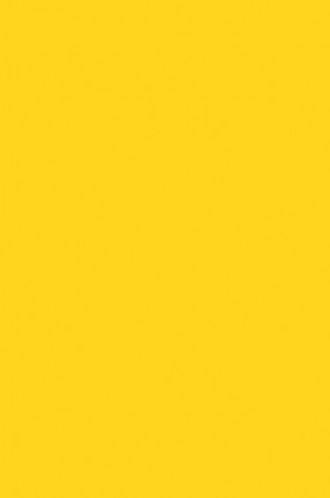 Liquitex Basics Acrylic Studio: Cadmium Yellow Medium Hue 118ml