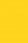 Liquitex Basics Acrylic Studio: Cadmium Yellow Medium Hue 118ml