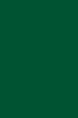 Liquitex Basics Acrylic Studio: Deep Green Permanent 118ml