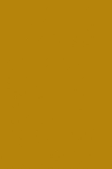 Liquitex Basics Acrylic Studio: Gold 118ml