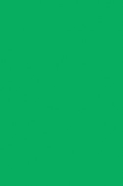 Liquitex Basics Acrylic Studio: Light Green Permanent 118ml