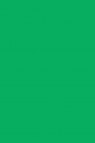 Liquitex Basics Acrylic Studio: Light Green Permanent 118ml