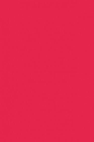 Liquitex Basics Acrylic Studio: Napthol Crimson 118ml