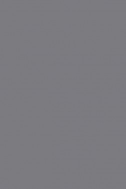 Liquitex Basics Acrylic Studio: Neutral Grey Val 5 118ml