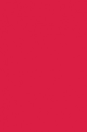 Liquitex Basics Acrylic Studio: Primary Red 118ml