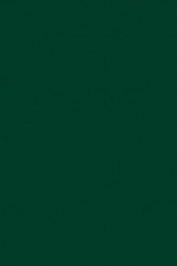 Liquitex Basics Acrylic Studio: Phthalo Green 118ml
