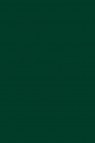 Liquitex Basics Acrylic Studio: Phthalo Green 118ml