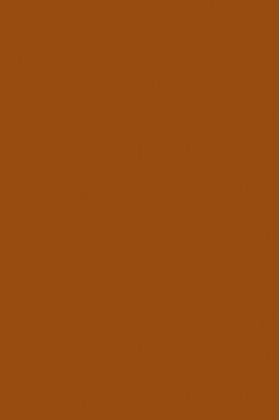 Liquitex Basics Acrylic Studio: Raw Sienna 118ml