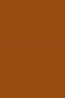 Liquitex Basics Acrylic Studio: Raw Sienna 118ml