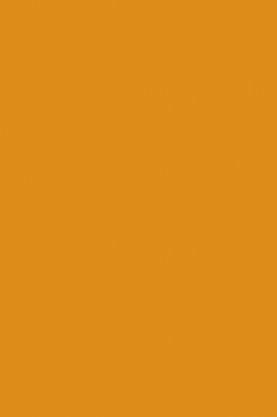 Liquitex Basics Acrylic Studio: Yellow Oxide 118ml