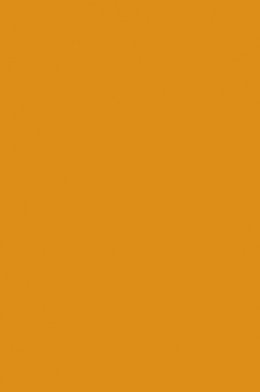 Liquitex Basics Acrylic Studio: Yellow Oxide 118ml