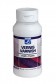 Lefranc & Bourgeois Acrylic Medium: Matt Varnish 120ml