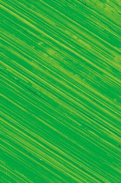 Williamsburg Oil: Permanent Green Light 37ml