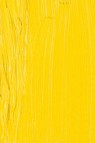 Schmincke Norma Artist Oil: Cadmium Yellow Light 35ml