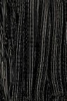Schmincke Norma Artist Oil: Neutral Black 35ml