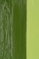 Schmincke Norma Artist Oil: Olive Green 35ml