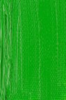 Schmincke Norma Artist Oil: Permanent Green 35ml