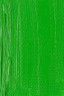 Schmincke Norma Artist Oil: Permanent Green 35ml