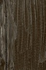 Schmincke Norma Artist Oil: Raw Umber 35ml