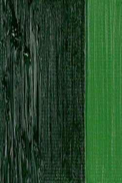 Schmincke Norma Artist Oil: Sap Green 200ml