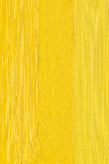 Weber Permalba Oil: Cadmium Yellow Medium 37ml