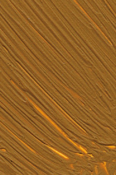 Williamsburg Oil: Raw Sienna 40ml