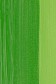 Weber Permalba Oil: Permanent Green Light 37ml