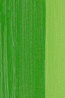 Weber Permalba Oil: Permanent Green Light 37ml