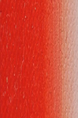 Weber Prima Oil: Cadmium Red Light Hue 37ml