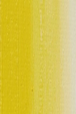 Weber Prima Oil: Cadmium Yellow Light Hue 37ml