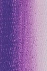 Weber Prima Oil: Cobalt Violet Hue 37ml