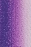 Weber Prima Oil: Cobalt Violet Hue 37ml