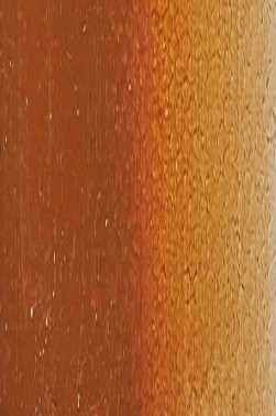 Weber Prima Oil: Raw Sienna 37ml