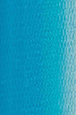 Weber Prima Oil: Turquoise 37ml