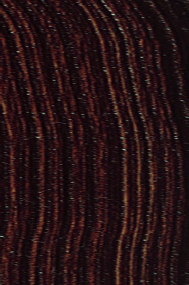 Schmincke Akademie Oil: Burnt Umber 60ml