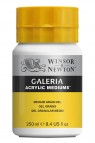 Winsor & Newton Acrylic Medium: Galleria Acrylic Medium Grain Gel 250ml