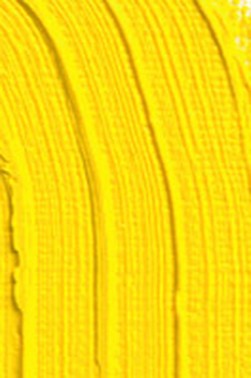 Schmincke Akademie Oil: Cadmium Yellow Hue 60ml