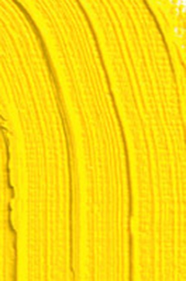 Schmincke Akademie Oil: Cadmium Yellow Hue 60ml