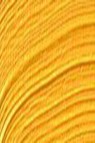 Schmincke Akademie Oil: Chrome Yellow Hue 60ml