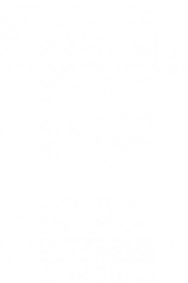 Winsor & Newton Acrylic Medium China: Gesso White 473ml