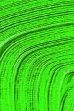 Schmincke Akademie Oil: May Green 200ml